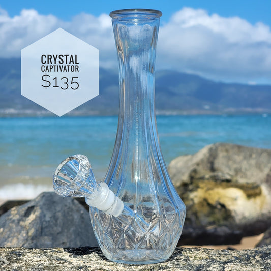 "Crystal Captivator" Upcycled Vintage Glass Vase