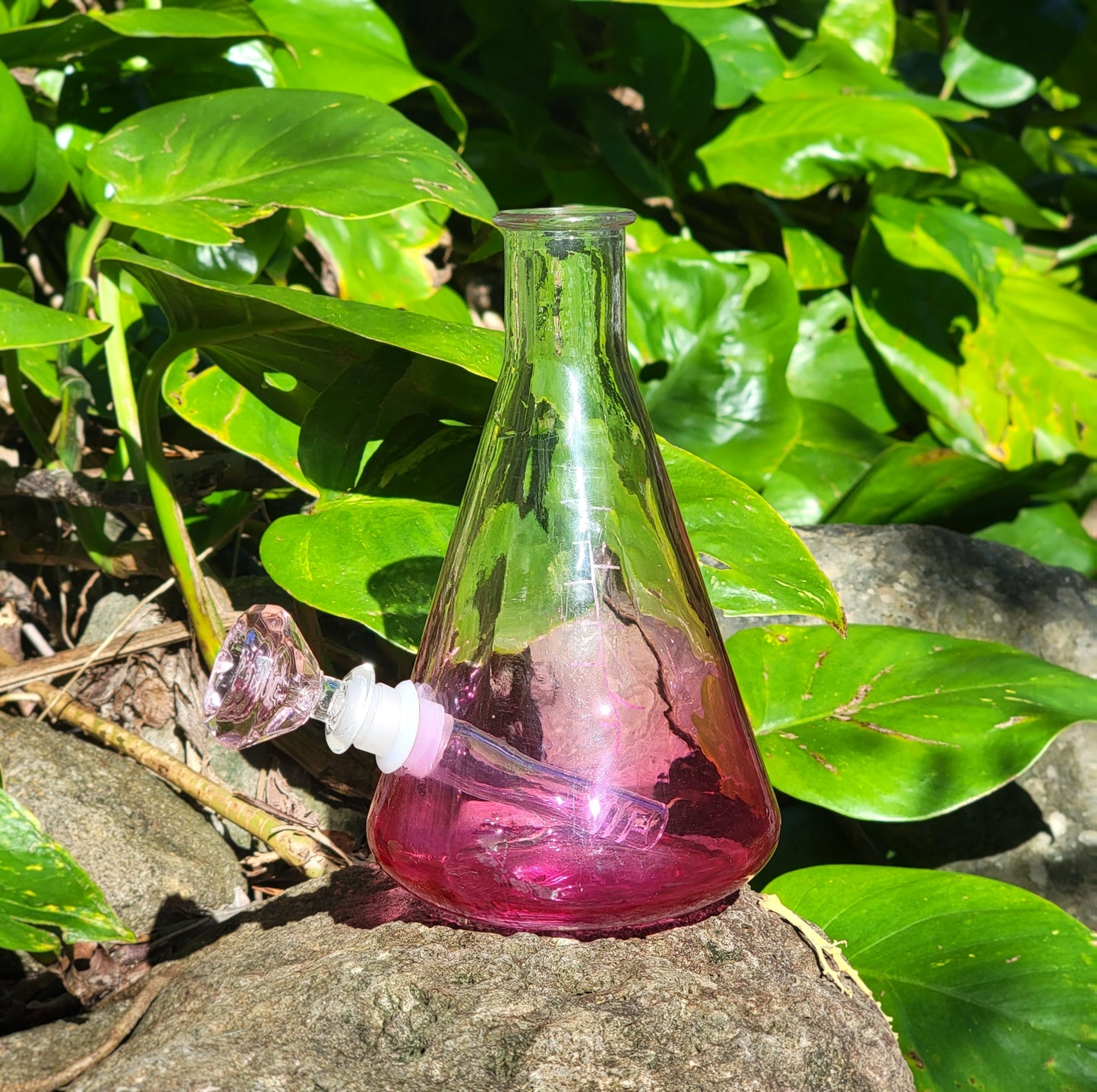 "Pink Perplexity" Upcycled Glass Flask Bong