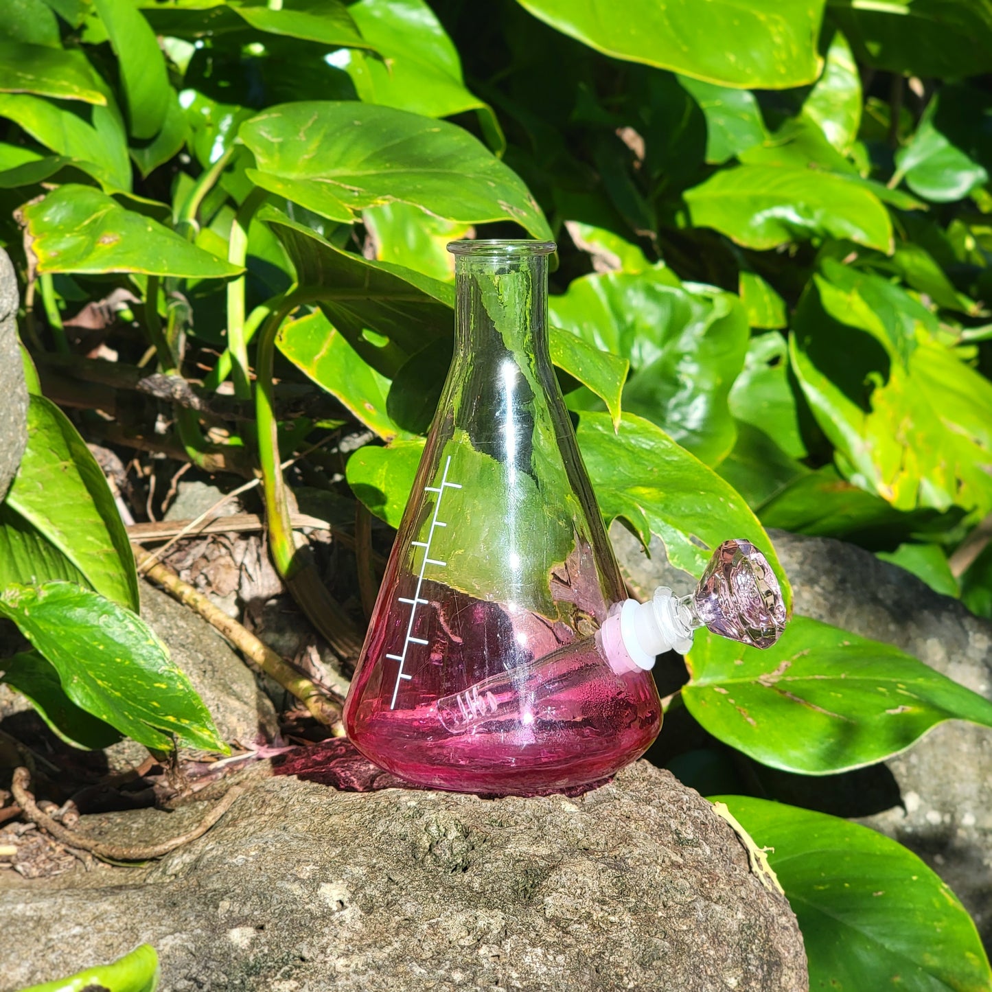 "Pink Perplexity" Upcycled Glass Flask Bong